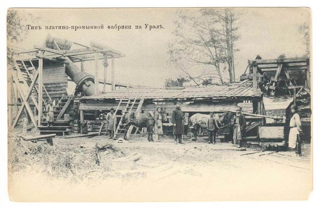 Платины уральских заводов из какого дерева