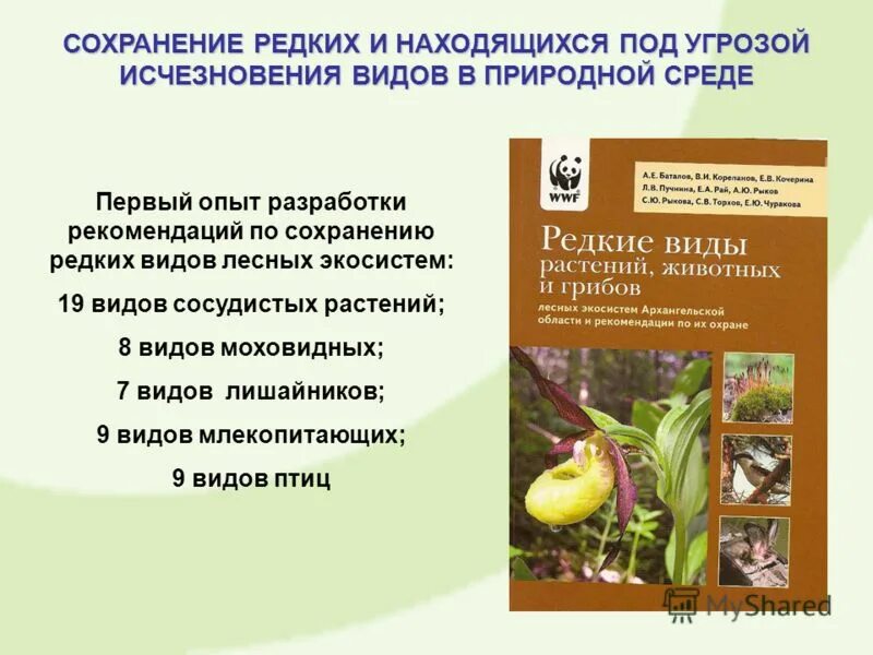 Обоснуйте необходимость сохранения этнического разнообразия. Сохранение редких и исчезающих видов растений. Сохранение редкие виды растений. Сохранение редких видов. Сохранение видов растений и животных.