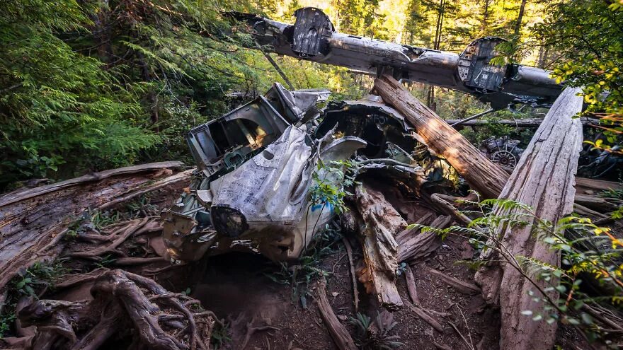 Самолеты найденные в лесах. Обломки бомбардировщика. Crash site