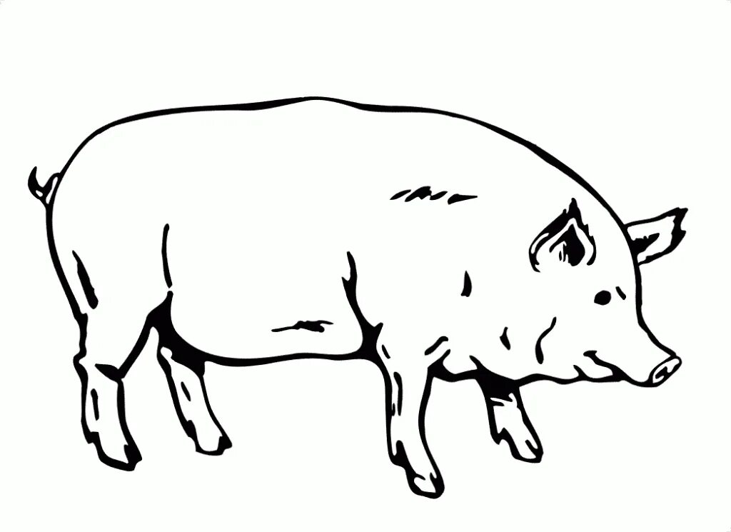 Wall Mural vector set with farm animals black and white - PIXERS.US Animals blac