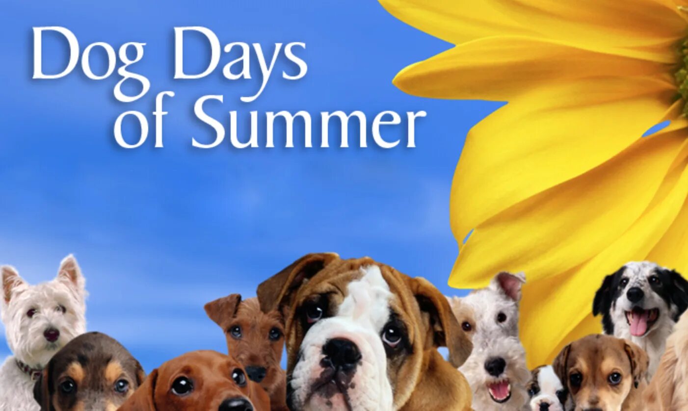 Дог дей фф. Дог дэй. собачьи дни. dog day картинки. dog days идиома.