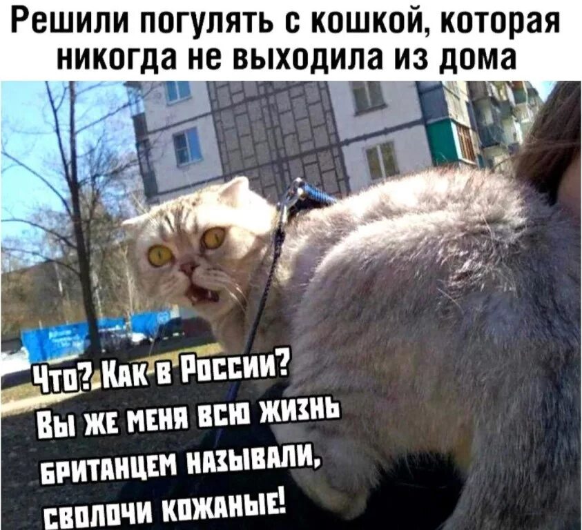 Как то раз пошла гулять я