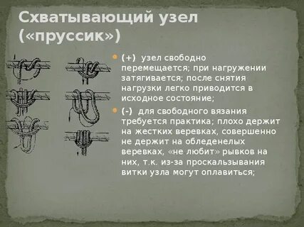 50 узлов