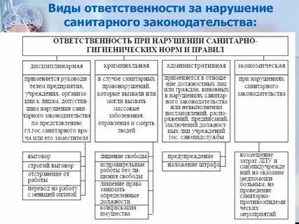 Какой вид ответственности предусмотрен действующим законодательством