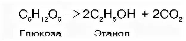 Глюкоза в этанол реакция
