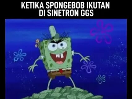 Sponges spongebob