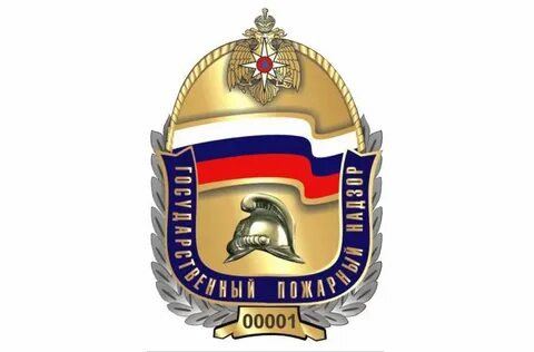 Сайт государственного пожарного надзора
