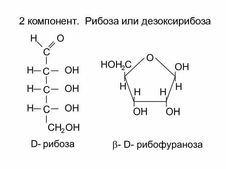 Дезокси d рибоза 2ddr. Цикло цепная таутомерия д рибозы. 2 дезокси д рибоза цикло оксо таутомерия. цикло-цепная таутомерия 2&#039;-дезокси- рибозы. цикло-оксо-таутомерия рибозы.