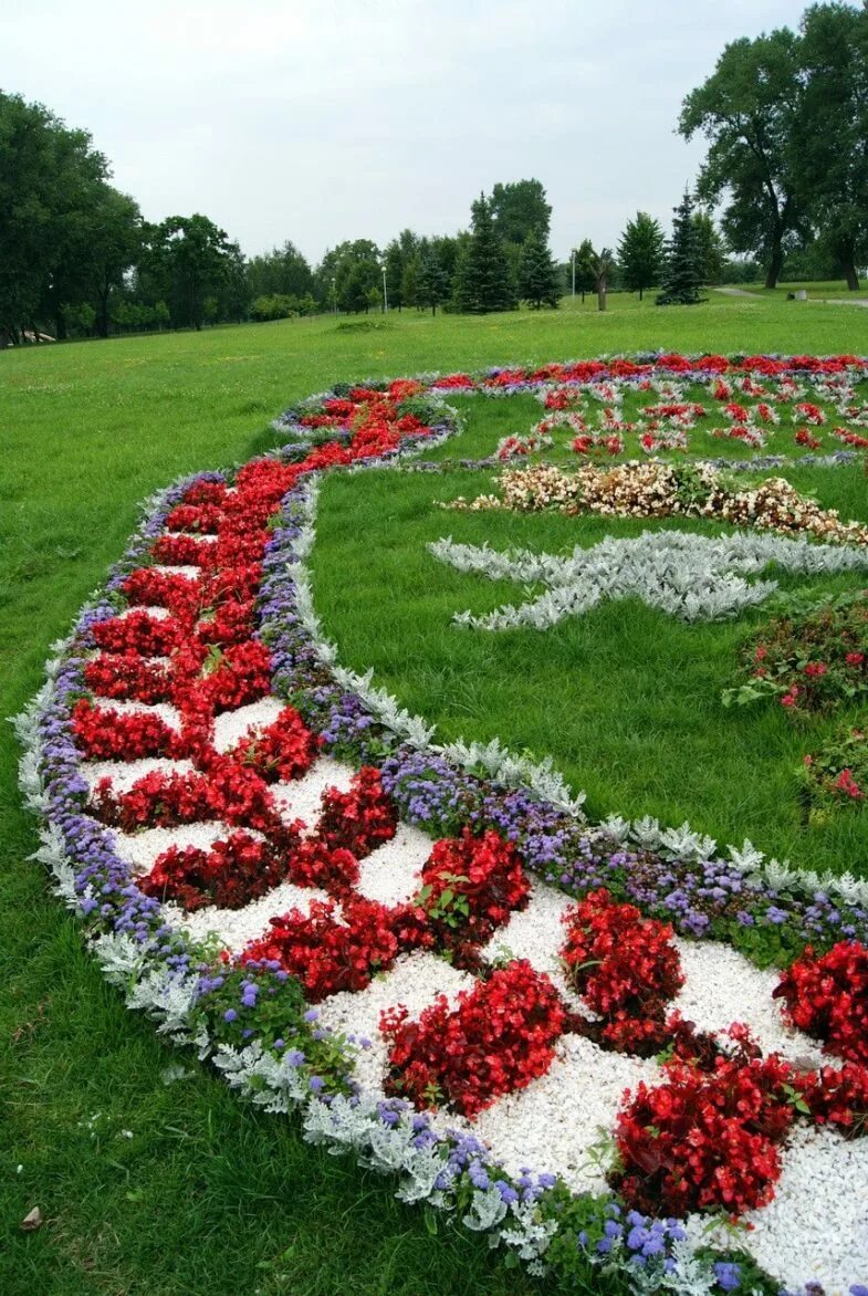 Как выглядит клумба. Клумбы, рабатки, бордюры, альпийская горка. Моноклумба розарии. Клумба алиссум и анютины глазки. Клумба однолетники бегония петуния.