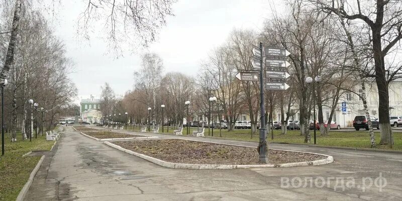 Парк осановская роща вологда - 82 фото