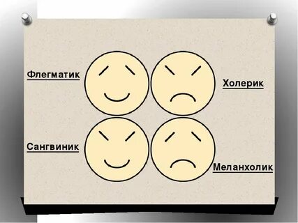 Сангвиник сильный уравновешенный инертный