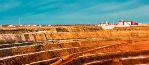 Месторождение гриба архангельская область