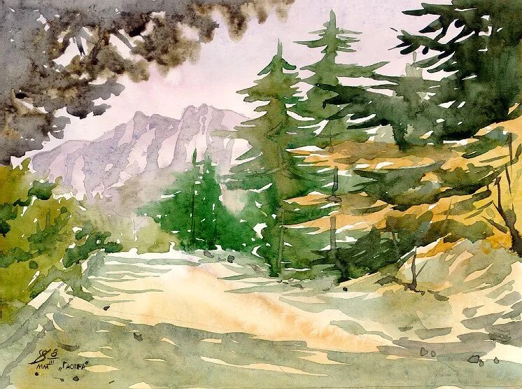 Ель гуашью. Ель акварелью. пейзаж с елями акварель. пейзаж с елками акварелью. пейзаж с елью гуашью.