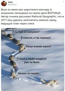 Боже как я хорош