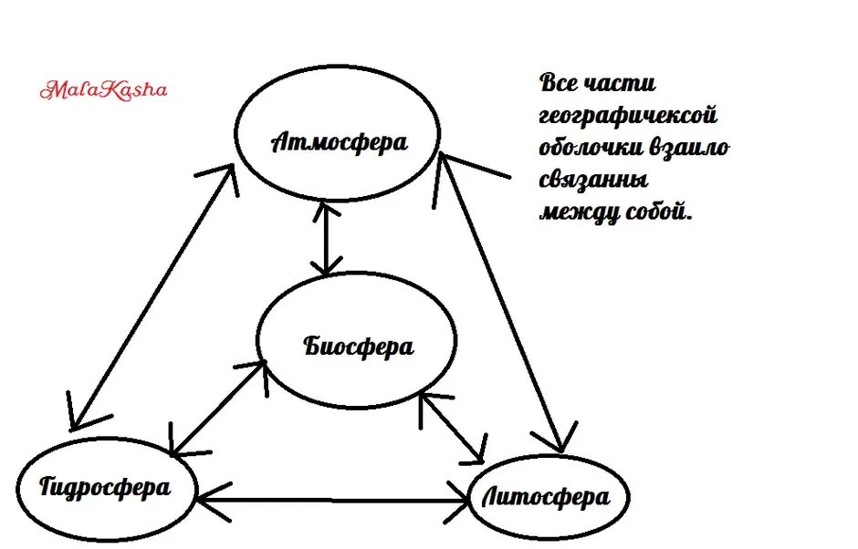 Биосфера с другими оболочками земли. Связь биосферы с другими оболочками земли схема. нарисуйте схему связь биосферы с другими оболочками земли. взаимосвязь биосферы с другими оболочками земли схема. схема строения географической оболочки.
