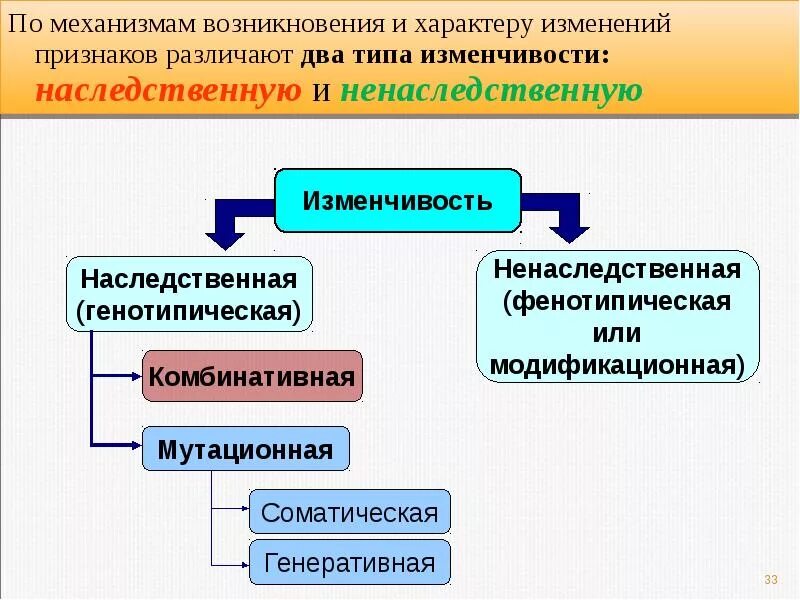 Постоянным источником наследственной изменчивости. Механизм наследственной изменчивости. Механизмы ненаследственной изменчивости. Механизмы генетической изменчивости. Механизмы наследуемой и ненаследуемой изменчивости.