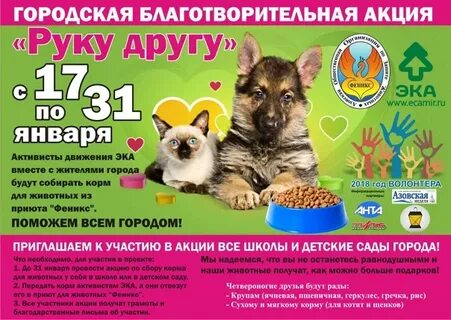 Благотворительная акция за последний год