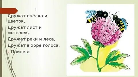 Мы пойдем с тобой с мотыльками