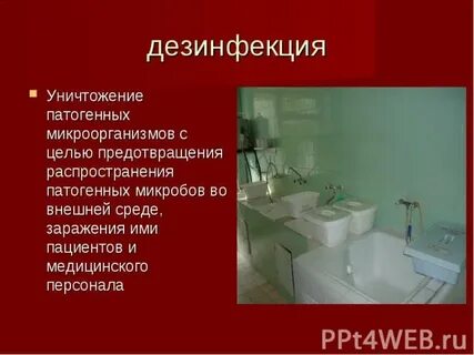 Процесс уничтожения патогенных микроорганизмов