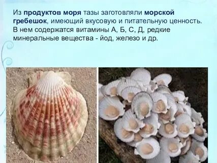 Органы гребешка