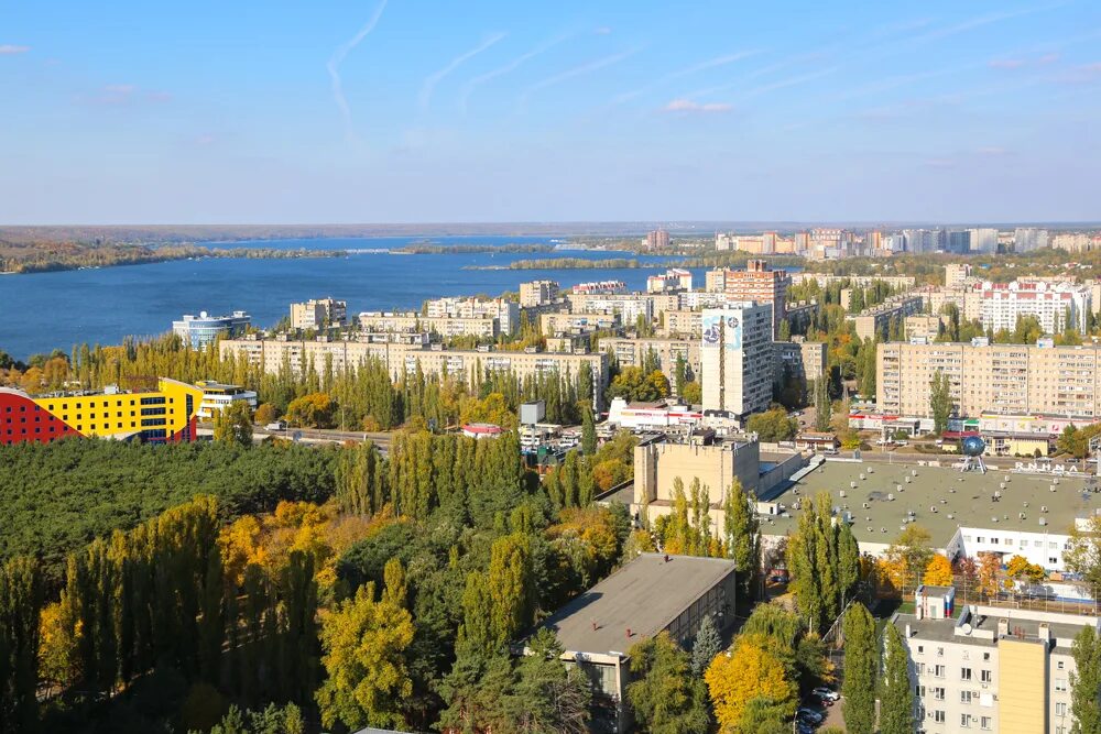 Voronezh net. Воронеж зеленый город. Зеленые насаждения в городе Воронеж. Деревья в городе Воронеж. Воронеж статус города.