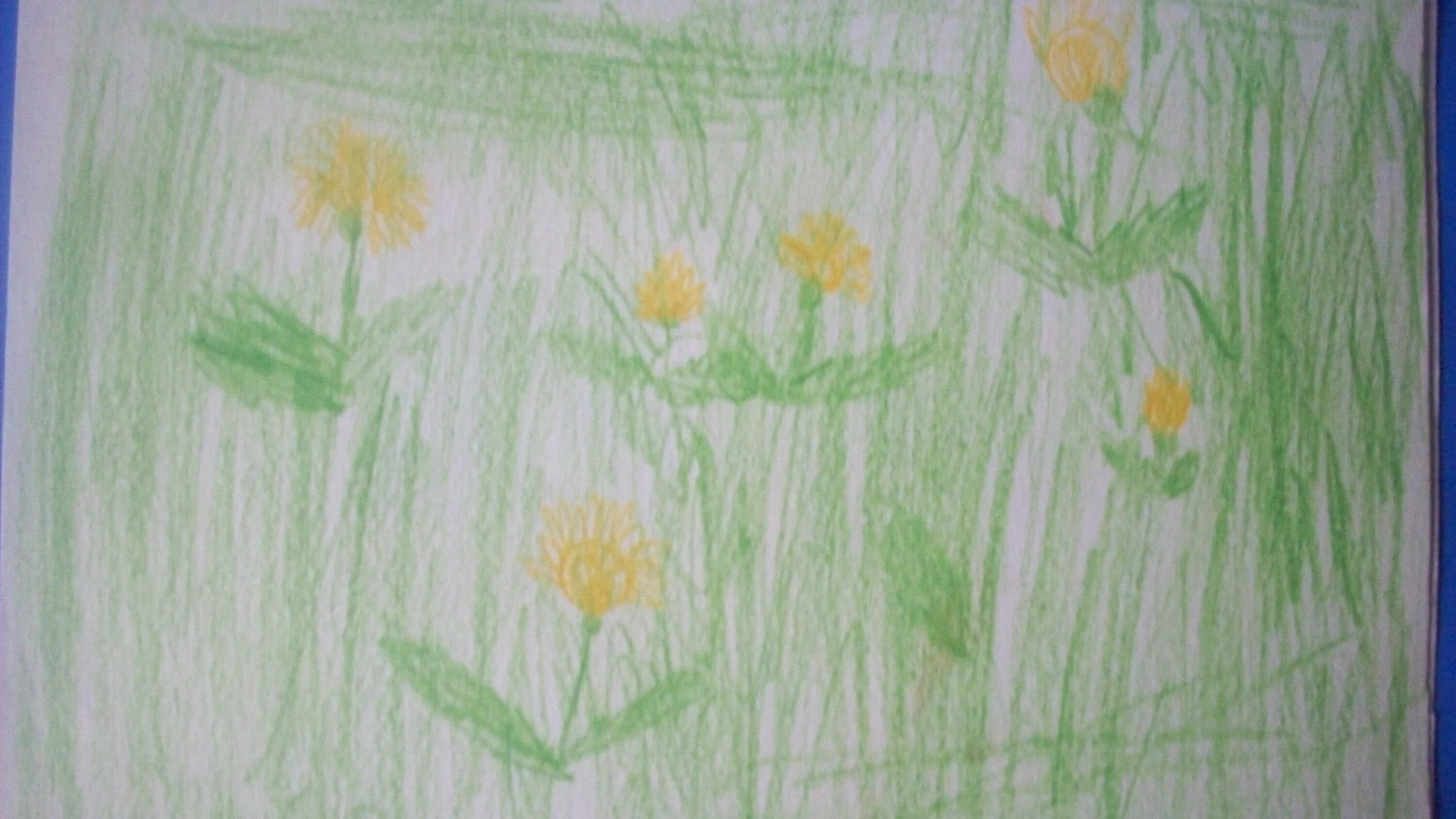 Нарисовать луг 1 класс окружающий. Луг рисунок. Рисунок на лугу. Луг рисунок для детей. Цветочный луг рисунок.