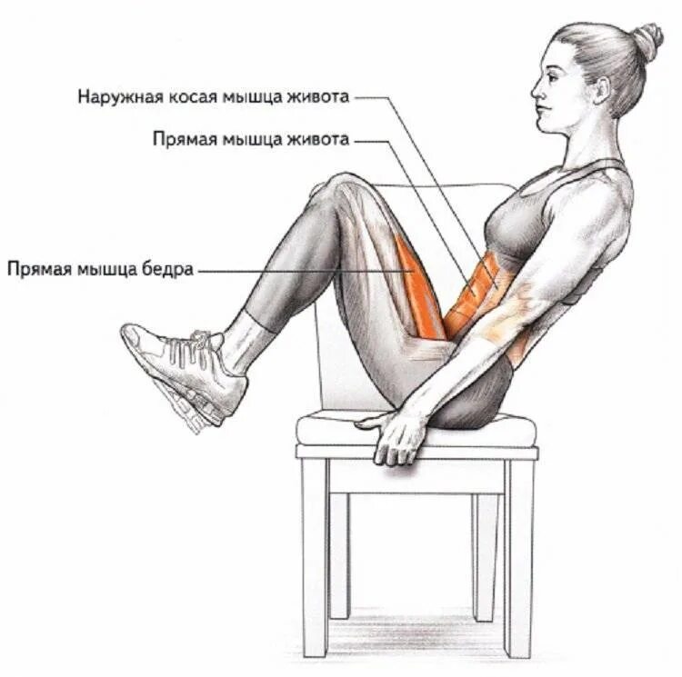 Как накачать руки женщине в домашних условиях. Упражнения на пресс сидя. Упражнения подъемы ног сидя. Упражнения для ног сидя на стуле. Упражнения на пресс на стуле.