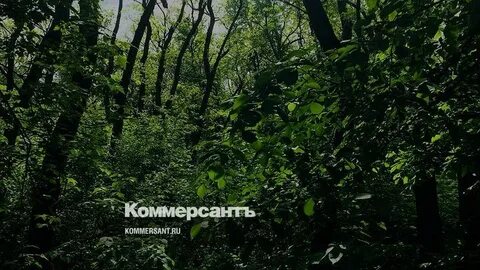 Александровская роща отзывы