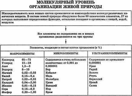 5 уровней в химии