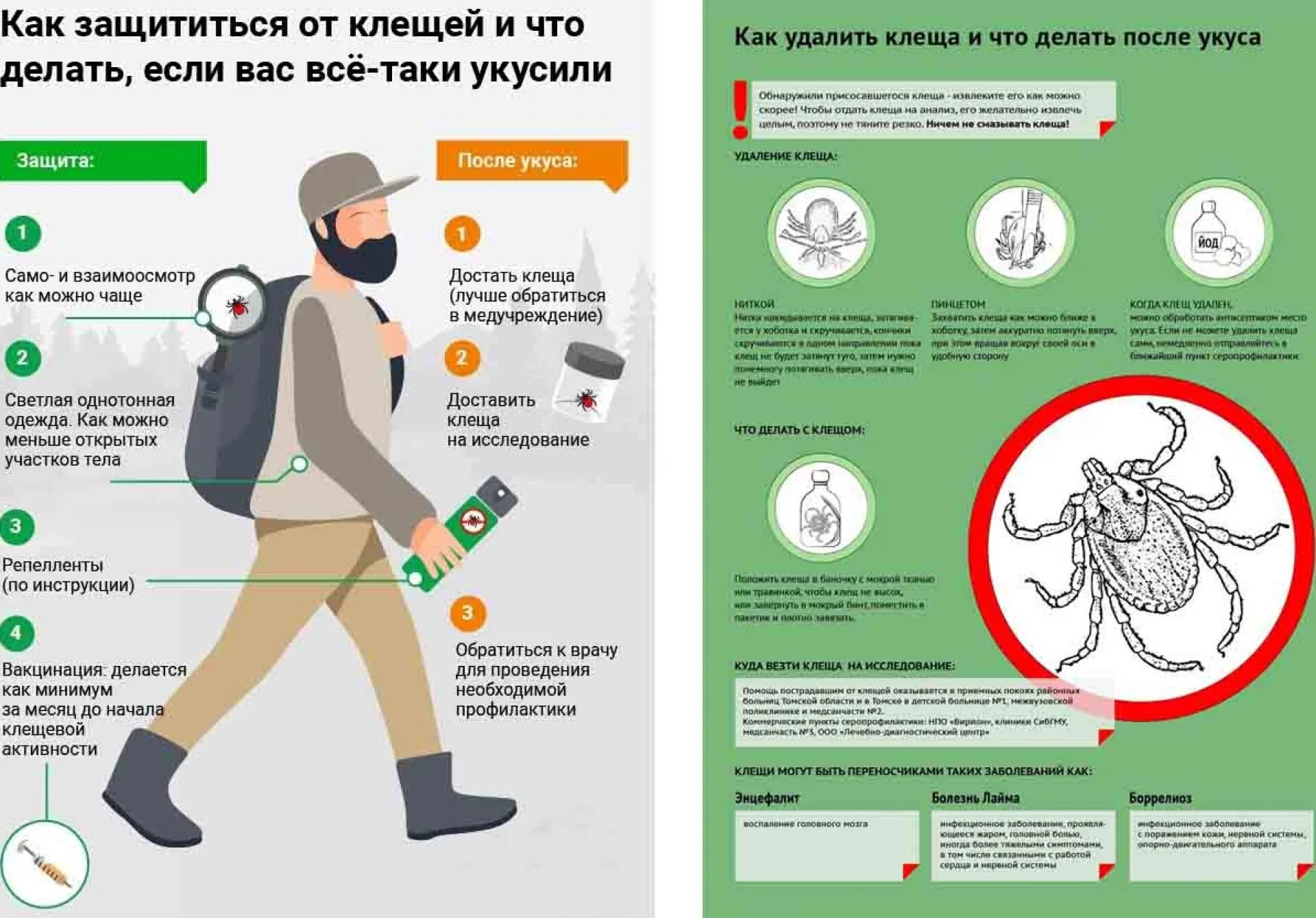 Как уберечься от укусов. Профилактика укусов клещей. Памятка если укусил клещ. Памятка клещи. Оказание первой помощи при укусах клещей.