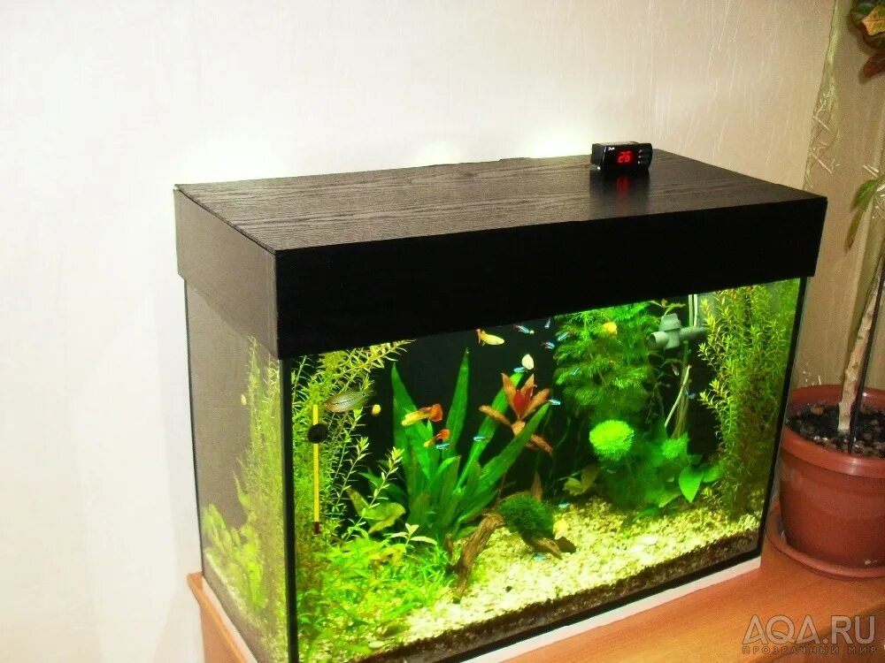 Silverberg аквариум 15 л. аквариуме 15 рыбок. аквариум biorb flow 30 led. Ferplast dubai 80. Aquael mini set черный 15л.