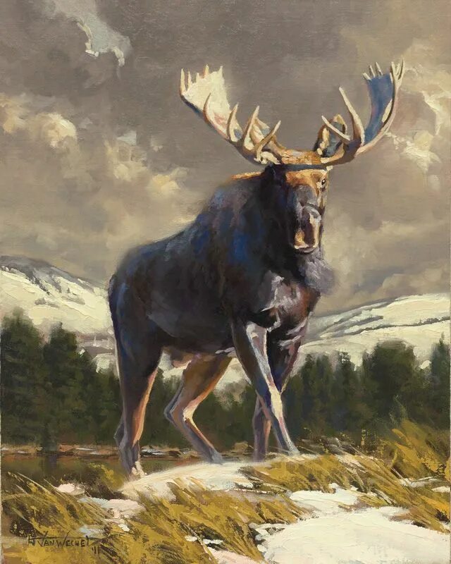 Картина лось в лесу. Dustin van wechel art. пейзаж с лосем. лось живопись. картина лоси.