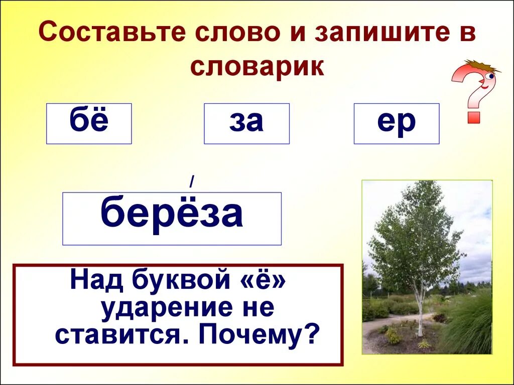 Ударение в слове береза. Над буквой ё не ставится ударение. Куда падает ударение в слове береза. Слово береза. Сост вляли