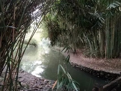 Южных культур 10