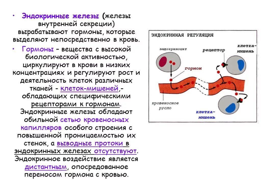 Гормоны выделяются железами внутренней секреции. 2. Классификация желез внутренней секреции общая характеристика. Железа внутренней секреции, вырабатывающая гормон роста. Выделение гормонов эндокринными железами.