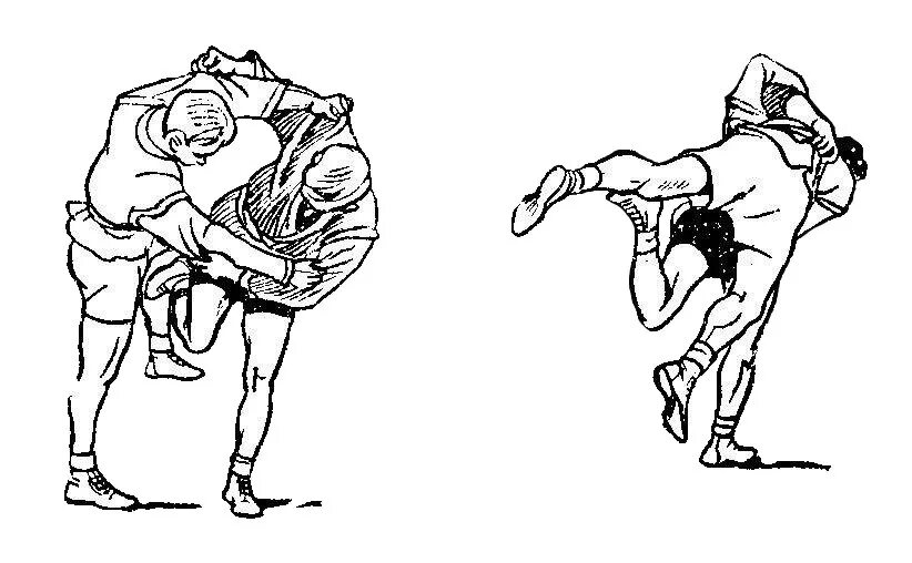 Передняя подсечка в самбо. Самбо приемы борьбы. Подсечка в самбо. Подсечка ногой снизу. Дзюдо бросок задняя подсечка.