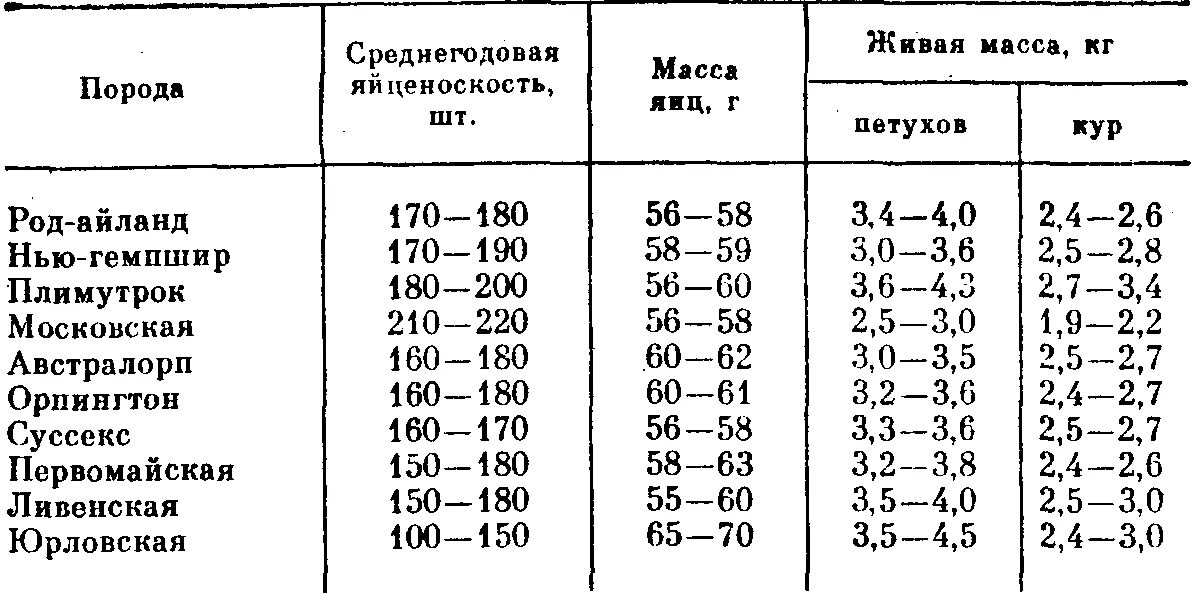 Самые яичные курицы