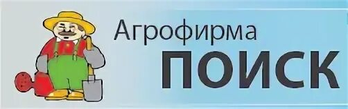 Фирма поиск