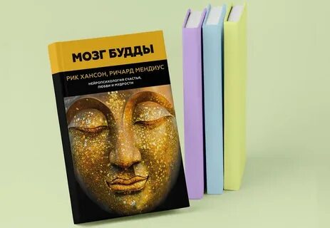 Мозг будды