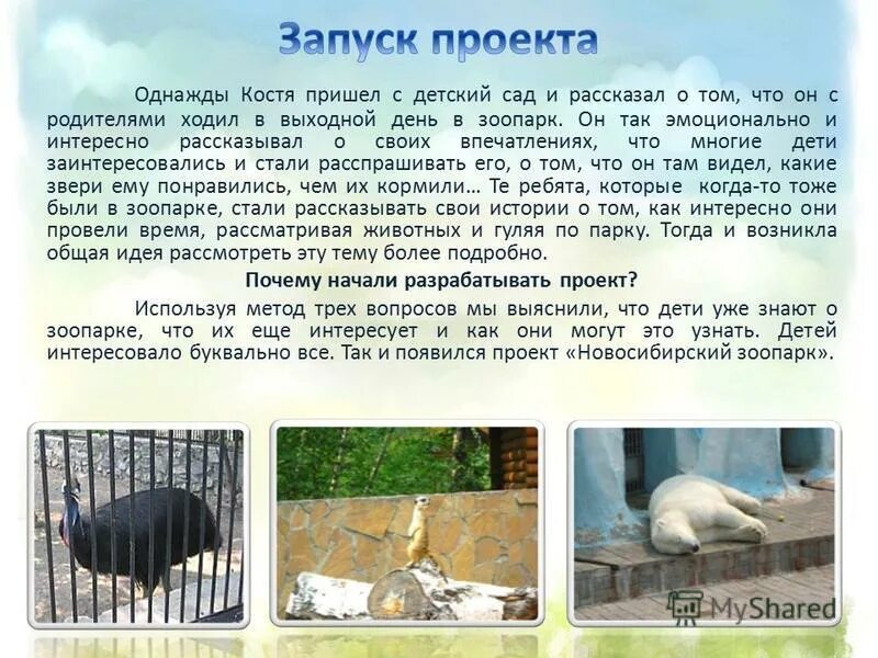 Пензенский зоопарк описание. Текст про зоопарк. Эссе на тему зоопарк. Доклад на тему зоопарк. Проект зоопарка.