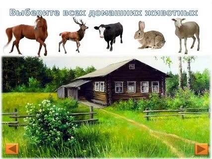 Где живут домашние