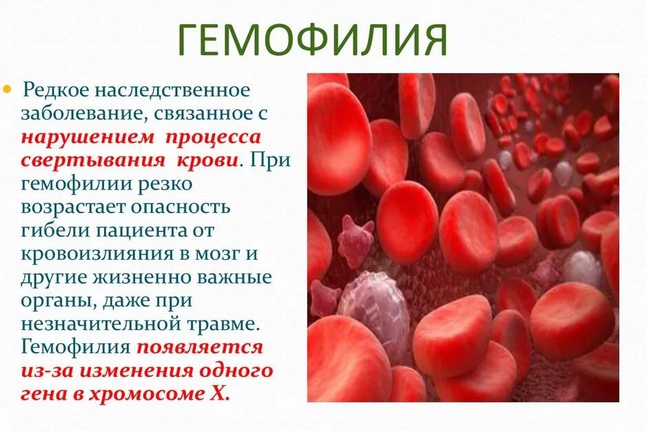 Заболевания крови передающиеся по наследству. Заболевание гемофилия. Наследственные болезни крови. Гемофилия и заболевание крови. Гемофилия это наследственное заболевание.