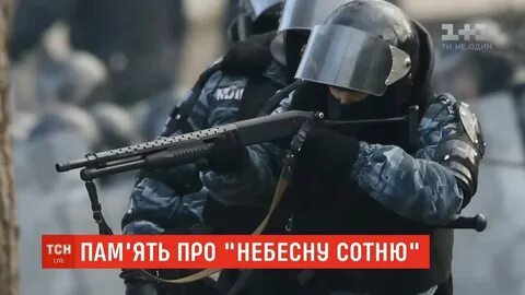 Под маской беркута 1991