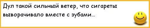 Весь день дул сильный ветер