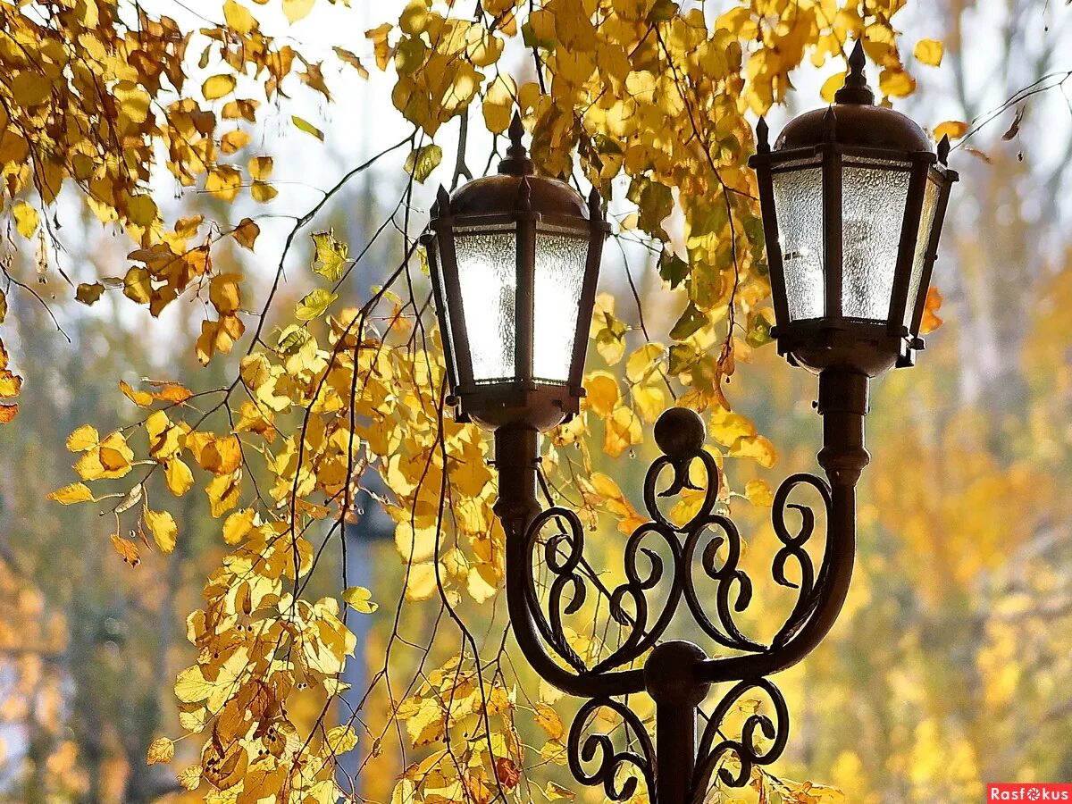 парк вечером. район ночью. необычные фонари на улицах. вечерняя улица с фонарями. фонарь на улице.