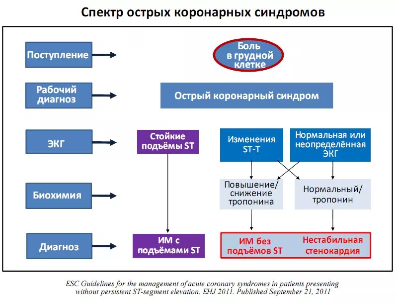 Сайт окс. Механизмы развития острого коронарного синдрома. Острый коронарный синдром этиопатогенез. Острый коронарный синдром этиология патогенез. Острый коронарный синдром патогенез схема.