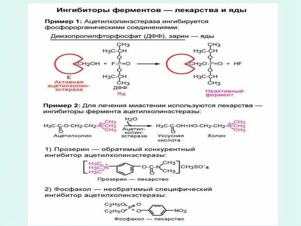 Количественного определения ферментов. Регуляция активности ферментов таблица. Механизмы ингибирования ферментов. Ингибирование ферментов биохимия. Необратимое ингибирование ферментов.