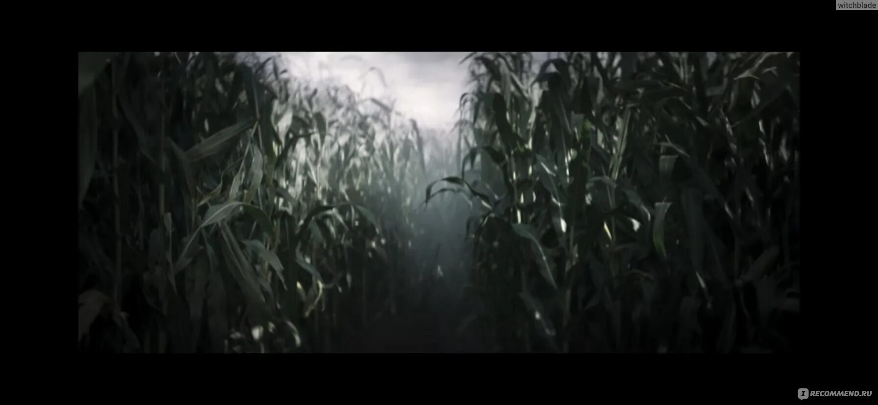 Fields 2025. Клаустрофобы. долина дьявола (2025).