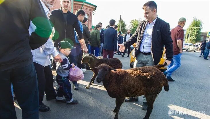 Какого числа будет праздник курбан