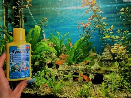 Какую воду нужно заливать в аквариум
